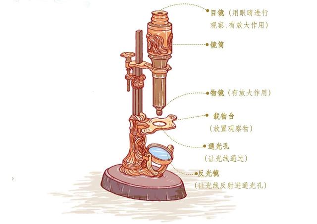 Ԫ?xn)ȳӲ˿ƌW(xu)ߴP(pn)c(din)ƌW(xu)(li)